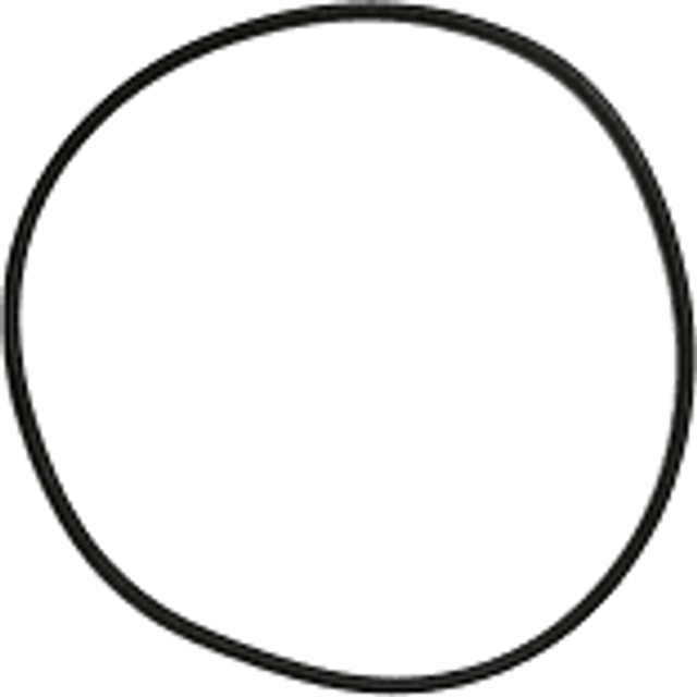 Pentair 24850-0008Z O-Ring 1/2" Rubber Replacement for StaRite S7 Models