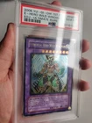 Yu-Gi-Oh Elemental Hero Wild Wingman PSA 10 1st Ultimate Rare TLM Gem Mint