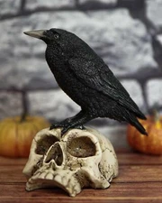 Ebros Gothic Raven Perching On Skull Statue 7.25" High Crow Scavenger Figurine