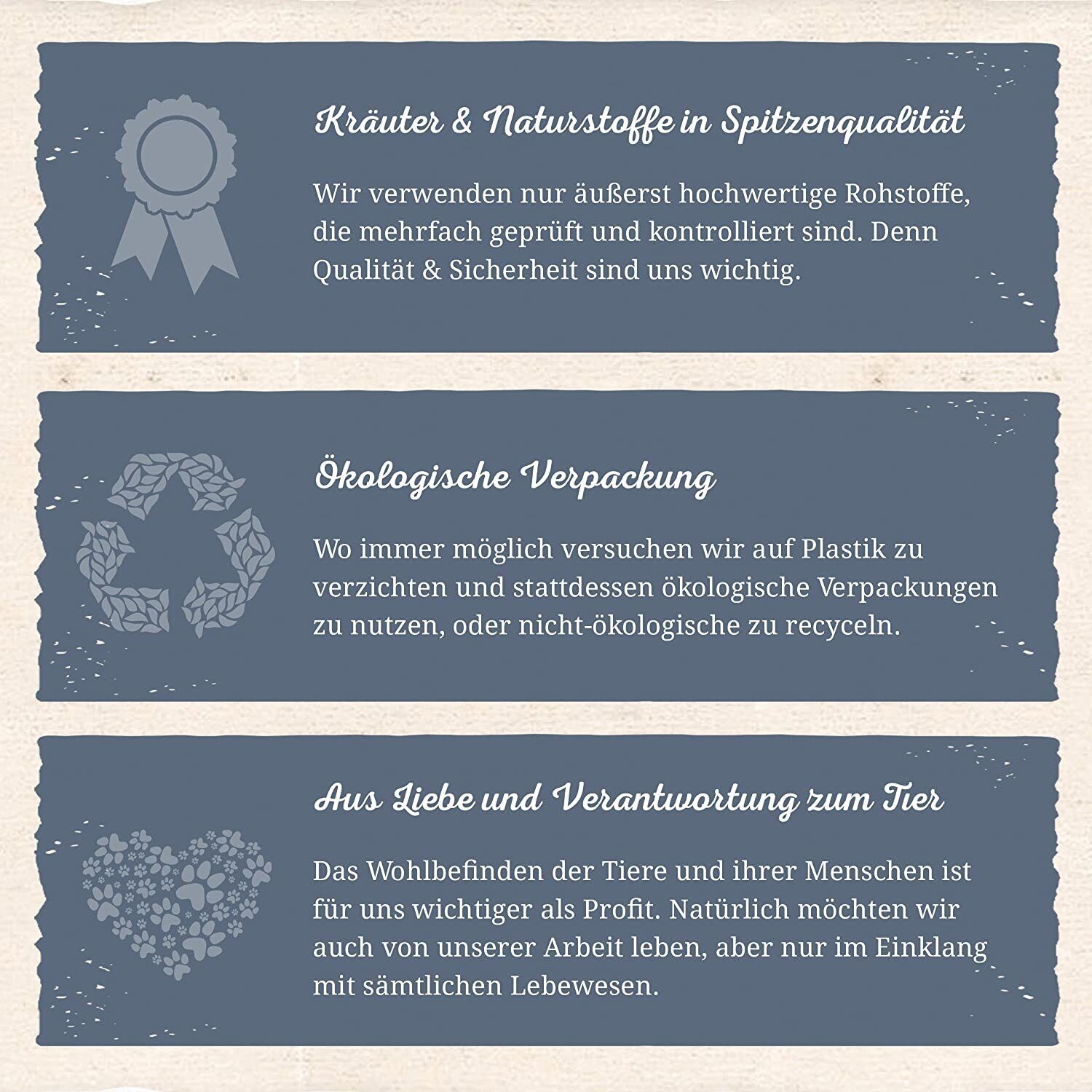 Bild 7 von 7