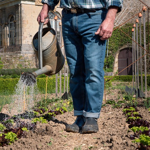 Botas De Tobillo Impermeables Para Hombre Rouchette, Jardín, Autolimpiables - Imagen 3 de 12
