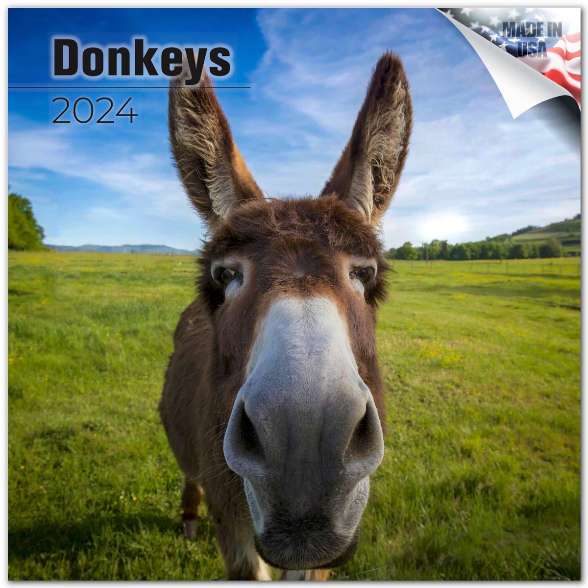 DONKEY FUNNY Wall Calendar 2024 Farm Animal GAG Lover Gift