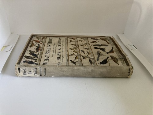 "What Bird Is That" By Frank M. Chapman 1920 Antique Hardcover - Picture 17 of 22