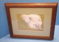 Framed & Matted Print of Painting of Face of Sweet White Sheep Lamb