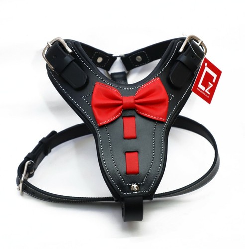 ARNÉS DE PERRO DE DISEÑO DE CUERO, ACCESORIOS DE LATÓN, PLACA DE PECHO ACOLCHADA - Imagen 5 de 9