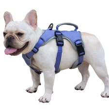 Escape Proof Dog Harness, Escape Artist Harness, Reflective Dog Harness with ...
