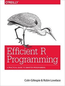 Efficient R Programming: A Practical Guide to Smarter Pr... | Buch | Zustand gut