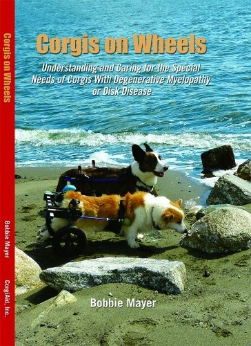 Corgis auf Rädern, besondere Bedürfnisse verstehen und pflegen - Bild 1 von 1