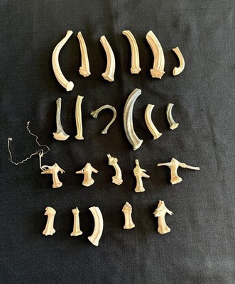 Naturally Dried Pumpkin/Gourd Stems (22) 2.75 -5  Fabric Pumpkin Crafts Decor