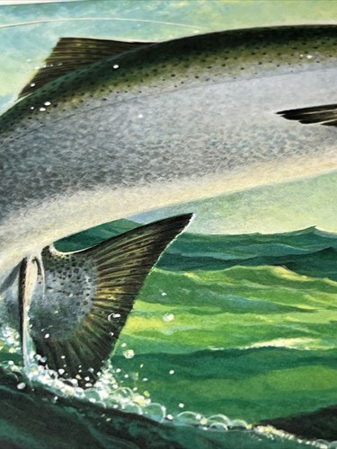 Martin Murk,Great Lakes Salmon Trout, Wisc. AP1/100,S Stamp, 1982.,Excellent - Picture 10 of 12
