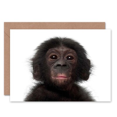 Tier Bonobo Schimpanse Schimpanse Baby Junge Geburtstag Blanko Grußkarte mit Umschlag