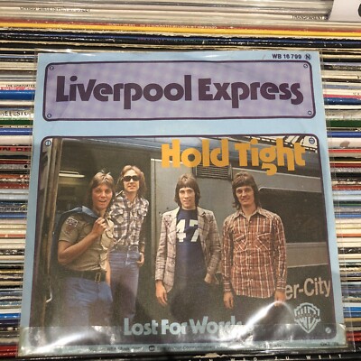 Vinyl Single 7  - Liverpool Express - Hold Tight / Lost For Words - WB Rec.-1976