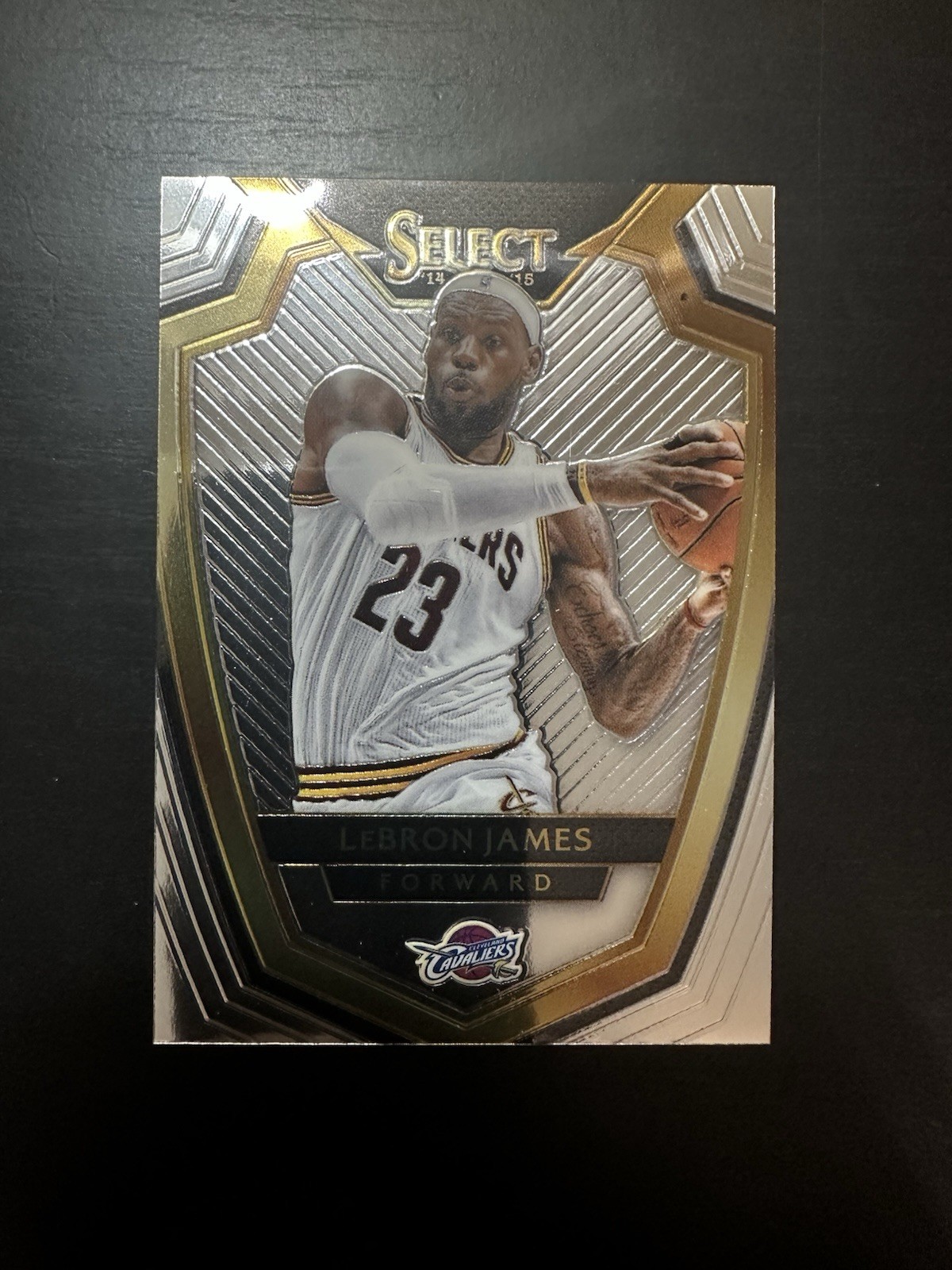 2014-15 Panini Select Premier Level LeBron James #119 Premier Level Cavaliers