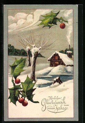Postcard Bald Trees by the Lake with Snowy House & Mistletoe, Happy New Year 
