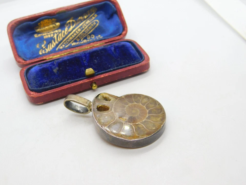 Colgante grande fósil de amonita montado en plata de ley de colección c1950 Foto 3 de 4