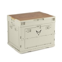 Klappbox Mit Deckel, Stabil 30L Faltbare Aufbewahrungsbox Kunststoffbox Faltbox