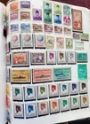 Indonesia on 5 pages