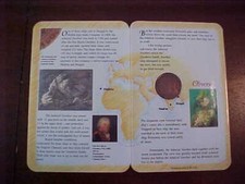 1808 East India Co.Copper Cash-Wreck Of The Admiral Gardner W/Descriptive Folder
