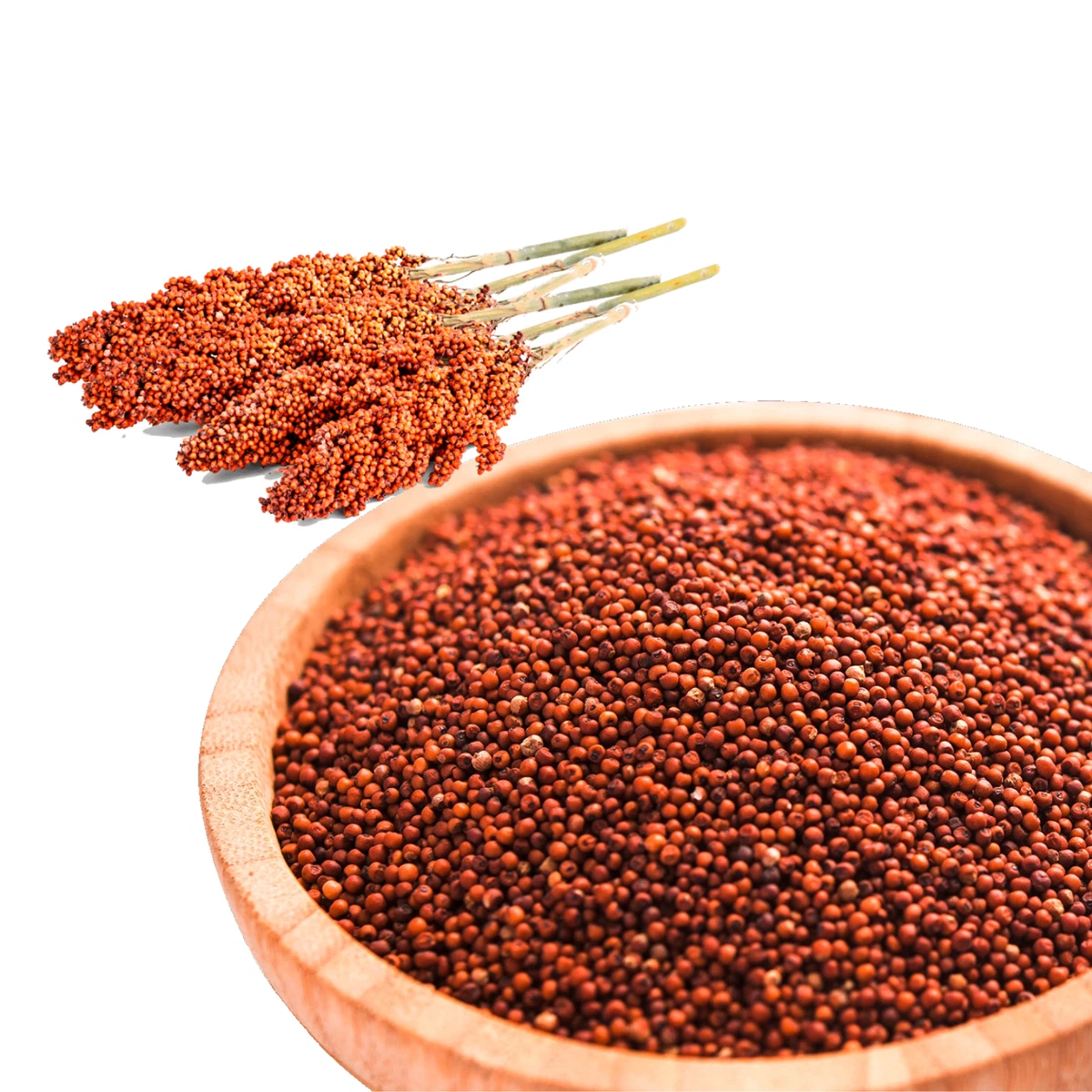 Finger Millets