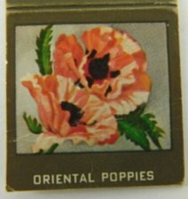 Oriental Poppies Flowers Vintage Matchbook Cover