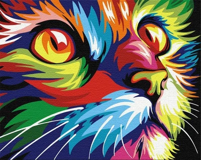 ARTNAPI Malen nach Zahlen auf Keilrahmen Bunte Katze 50x40cm Bild Ausmalen nach Zahlen