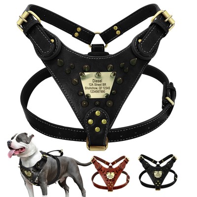 pitbull spiked harness