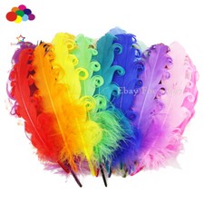 30 Color Curly Goose Feathers 13-18CM/5-7inch For Floral Arrangements DIY Crafts