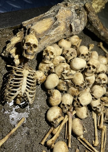 Actionfigur Totenkopf Modell menschliches Skelett Szene Zubehör Display Spielzeug im Maßstab 1:12 - Bild 4 von 6