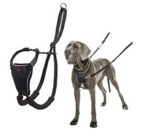 Large HALTI No Pull Harness - to Stop Your Dog Pulling on the Leash. Adjustable