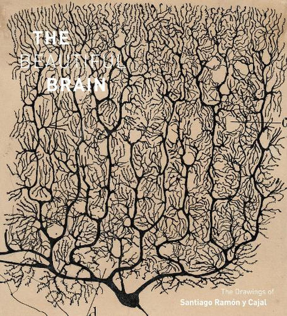 The Beautiful Brain: The Drawings of Santiago Ramon y Cajal by Eric Newman (Engl