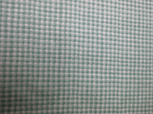 More Baby Talk Flannels by Moda 10699-13 green check - 第 1/5 張圖片