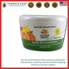 20oz Solid Citrus Air Freshener - Odor Eliminating Power for Home Refreshment