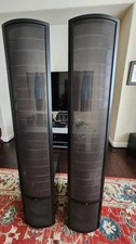 Martin Logan Theos for PARTS.  Panels no longer work.