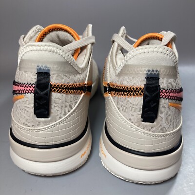 Size 10.5 - Nike Zoom LeBron NXXT Gen Da Vinci for sale online | eBay