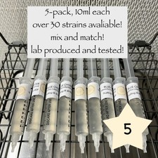 Mushroom liquid culture syringe 5-pack, over 30 culinary varieties available 