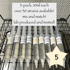 Mushroom liquid culture syringe 5-pack, over 30 culinary varieties available!