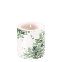 Kerze, Lampionkerze Hedera / Efeu 9Cm By Ambiente