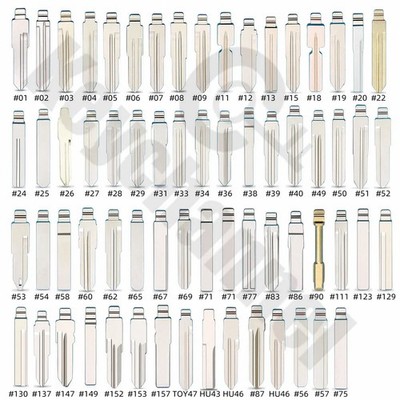 66-Piece Metal Key Blade Blank Set for Remote Car Keys