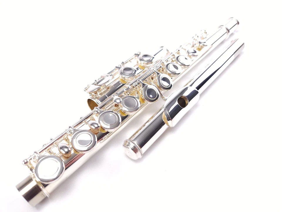 *COMO NUEVA - Demostración* Flauta Estudiante Principiante Acento + Garantía Foto 3 de 4