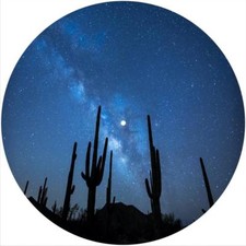 Slipmat Slip Mat Pad for any 12" DJ Turntable LP Record Player Felt CACTUS SKY