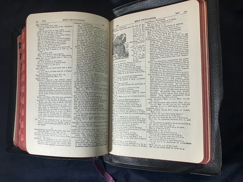 CHRISTIAN WORKER’S BIBLE Illustrated Thumb-Indexed w Encyclopedia 1993 SUPERIOR - Foto 19 di 21