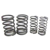 Passt FüR Royal Enfield Bullet 500CC Ventilfeder Kit S2U