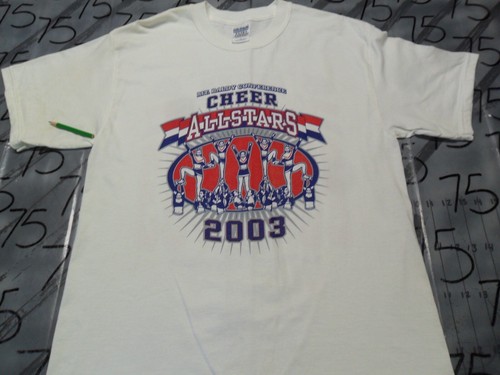 Medium Vintage 2003 Southern California All Star Cheer Mount Baldy￼ Shirt