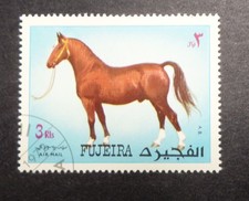 UAE Fujeira Fujairah Middle East Stamp 1971 Arabian Horse Stallion