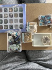Selection Of Fossils And Stones And Crystals