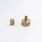 Coleman Stove or Lantern Filler Cap with Tire Valve / EZ Pump lantern adapter