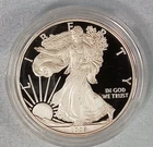 2008-W American Eagle Proof 1 Oz 999 Silver Bullion Coin in Capsule