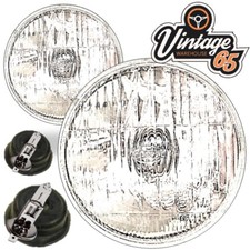 Ampoule Triumph DOLOMITE