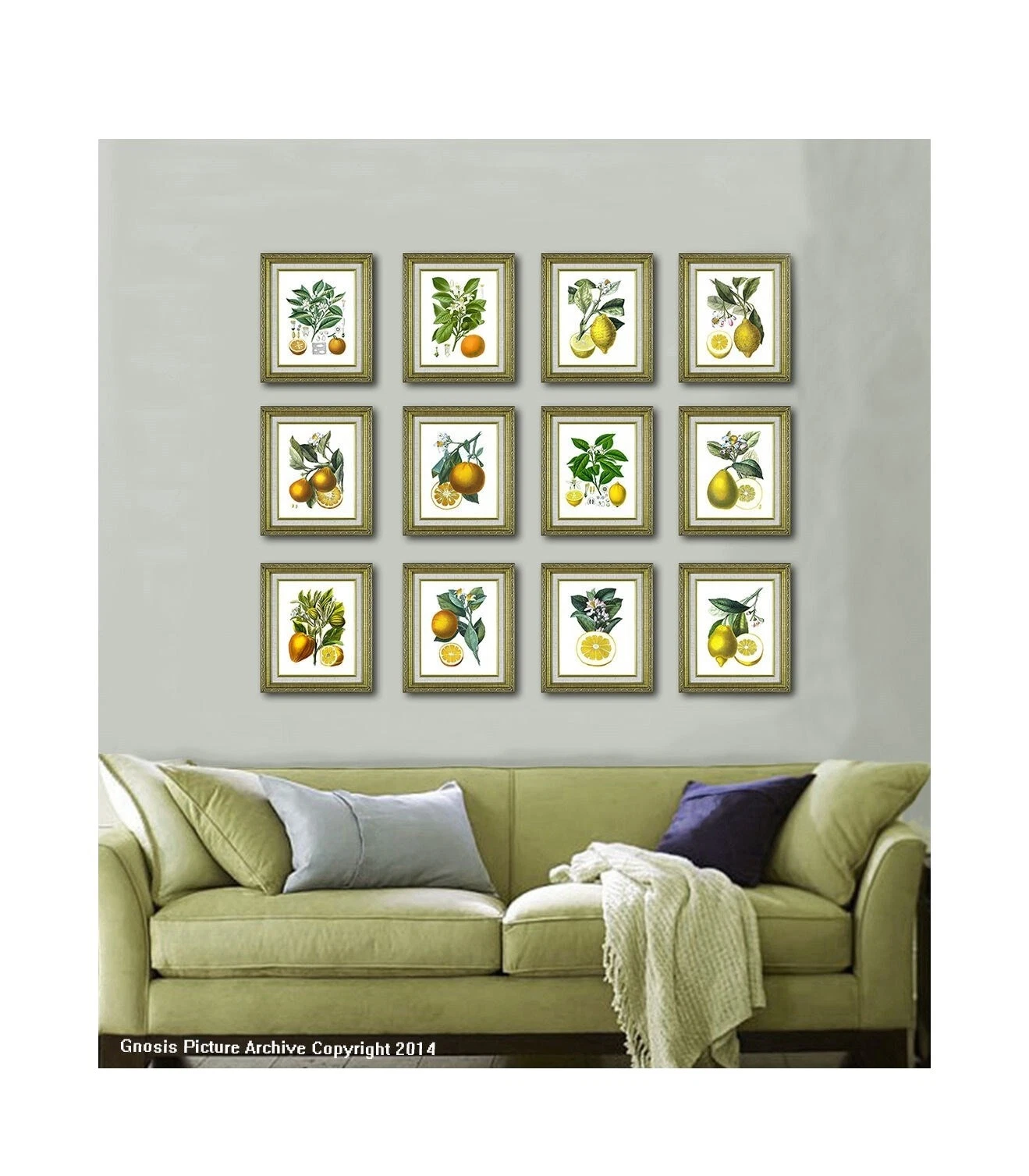 Botanical Home Décor Giclees & Iris Prints