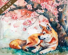 Shiba Inu watercolor painting by a blooming cherry tree  8x10 Print 